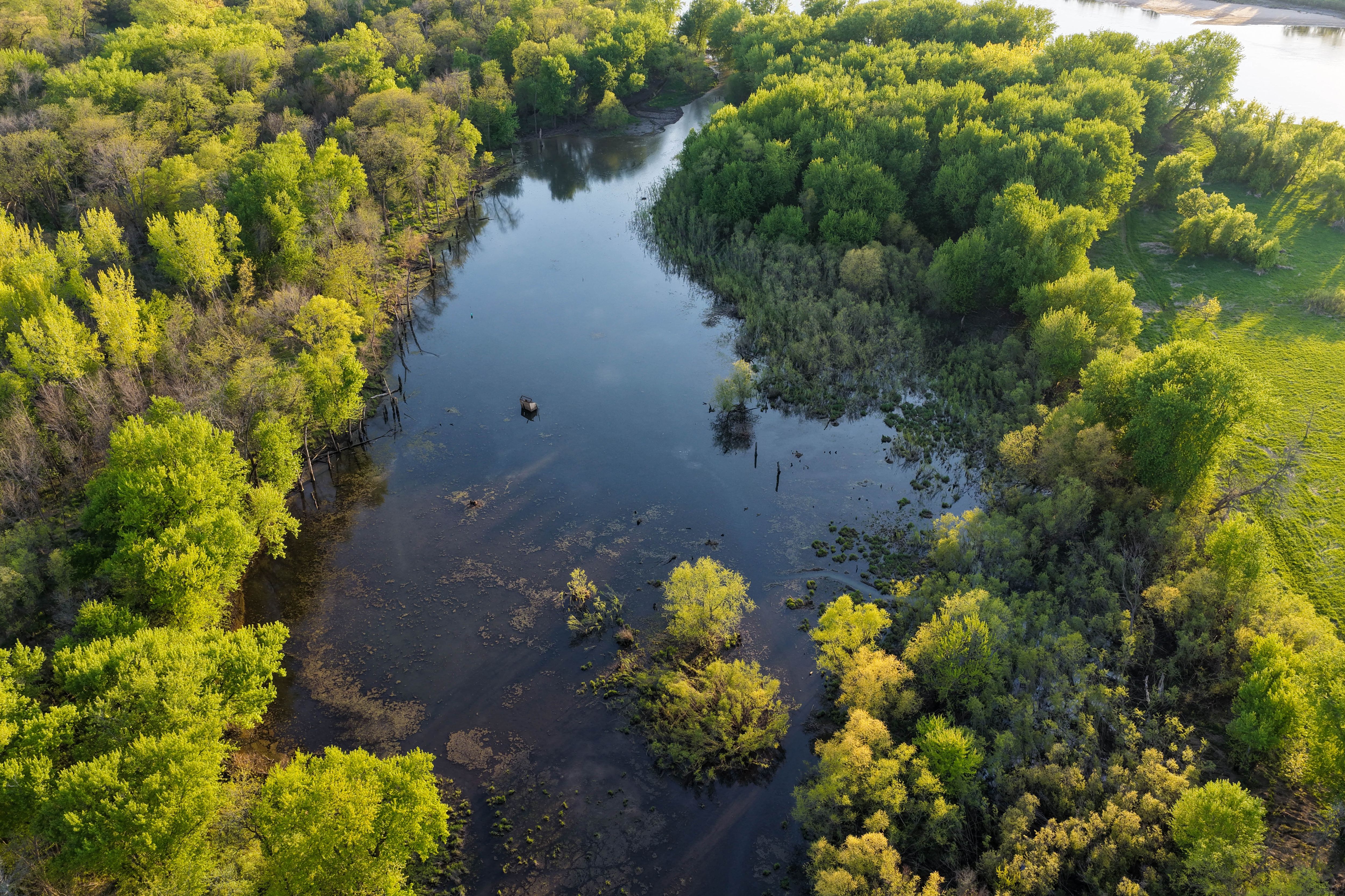 Listing Photo: Cedar County Whitetail Hutning Farm For Sale-25